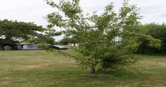Camping Domaine Sainte-Marie