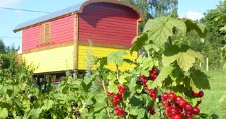 L'Ami Nature