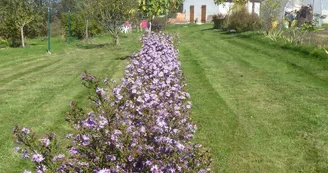 L'Ami Nature