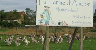 Le Ferme d'Ambon Le Ferme d'Ambon