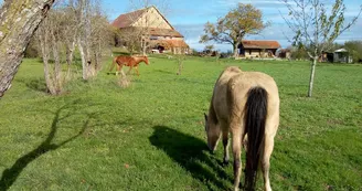 Aire naturelle - Brénazet Aire naturelle - Brénazet
