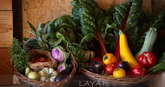 Ferme argro-logique de Layat