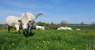 Ferme argro-logique de Layat