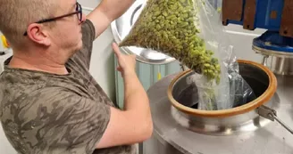 Lady Ale