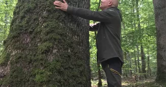 Allier Forêt Bien-Être : Jean-Paul Nebout Allier Forêt Bien-Être : Jean-Paul Nebout