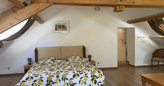 Grand gîte au Château de Bussolles Grand gîte au Château de Bussolles