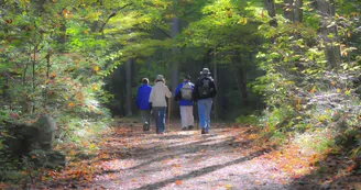 Les Bruyères