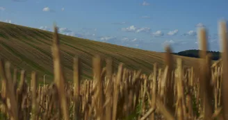 Les Quériaux Les Quériaux