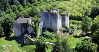 Autour des tureaux Autour des tureaux
