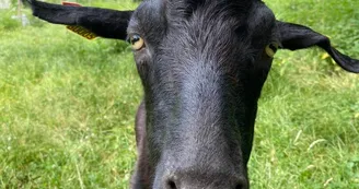 Ferme de Priroda