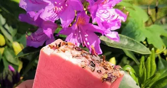 Les savons de Catherine et Bougies du Bourbonnais Les savons de Catherine et Bougies du Bourbonnais
