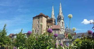 Château des ducs de Bourbon