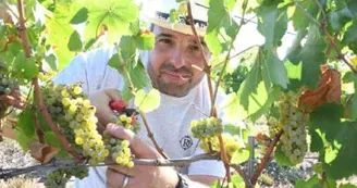 Domaine les Roches