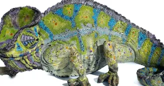 Tania Boucard - Sculptures animalières Tania Boucard - Sculptures animalières