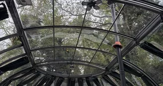 Bulles d'Auvergne - Le Repère du Bucheron