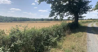 Randonnée : Sentier des Sources libres