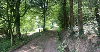 Randonnée à Loddes