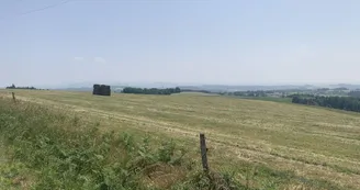 Randonnée à Loddes