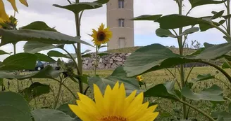 La Tour de Penaud