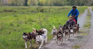 Jelet-Mushing-chaudefonds-sur-layon-49-asc-2 Jelet-Mushing-chaudefonds-sur-layon-49-asc-2