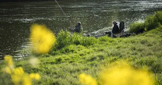 nature-peche-canne-pecheur-loire-osezmauges-anjou--D