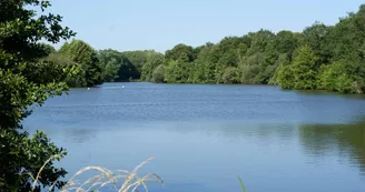 etang-coulvee-base-loisirs-chemille-anjou-osezmauges etang-coulvee-base-loisirs-chemille-anjou-osezmauges
