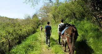 Sur les chemins