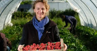 Gaec Lait Fraise Gaec Lait Fraise