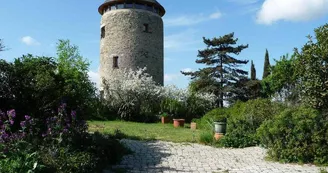 moulin tour moulin tour