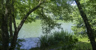 camping-coulvee-chemille-en-anjou camping-coulvee-chemille-en-anjou