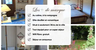 Les Gites La Ferme du Bellay_Montreuil-Bellay - _6