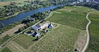 coteau_saint_vincent