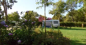 Camping paradis Les Nobis d'Anjou près de Saumur - Camping paradis Les Nobis d'Anjou_11