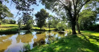 aire-de-pique-nique-poizeaux-CEA-Chanzeaux-osez-mauges-©AR  (61)