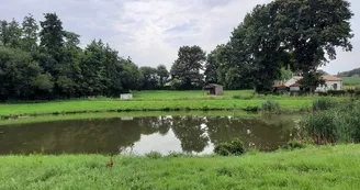 aire-de-pique-nique-étang de neuvy en mauges-CEA-osez-mauges-©AR  (14)
