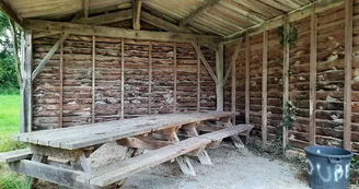 aire-de-pique-nique-étang de neuvy en mauges-CEA-osez-mauges-©AR  (16)