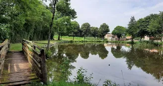 aire-de-pique-nique-étang de neuvy en mauges-CEA-osez-mauges-©AR  (5)