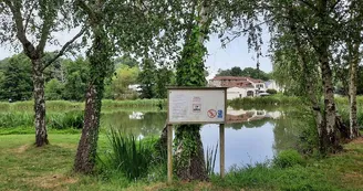 aire-de-pique-nique-CEA-Étang de saint lézin-osez-mauges-©AR (9) aire-de-pique-nique-CEA-Étang de saint lézin-osez-mauges-©AR (9)