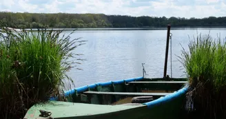 Etang des Noues à Cholet