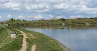 Etang des Noues à Cholet