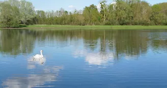 Etang de la Grande Vallée à Denée Etang de la Grande Vallée à Denée