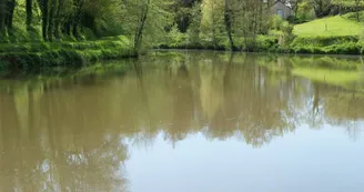 Etang de la Coudraye à Saint Lambert du Lattay Etang de la Coudraye à Saint Lambert du Lattay
