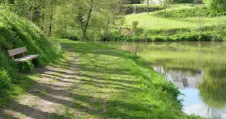 Etang de la Coudraye à Saint Lambert du Lattay Etang de la Coudraye à Saint Lambert du Lattay