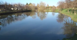 Etang des Courtilliers