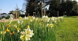 jardin-la-pommeraye jardin-la-pommeraye