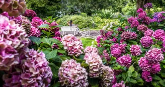 Arboretum Gaston Allard