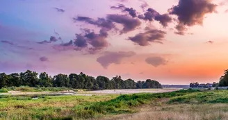 Panorama Sainte-Gemmes-sur-Loire