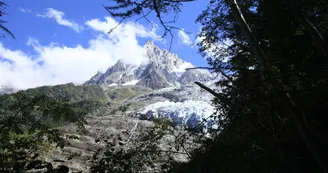 Télésiège du Glacier des Bossons Télésiège du Glacier des Bossons