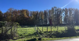 Gîte de Groupe Le Bois Mal