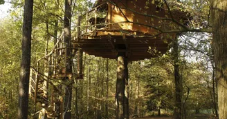 Château des Énigmes - La Cabane des Écureuils